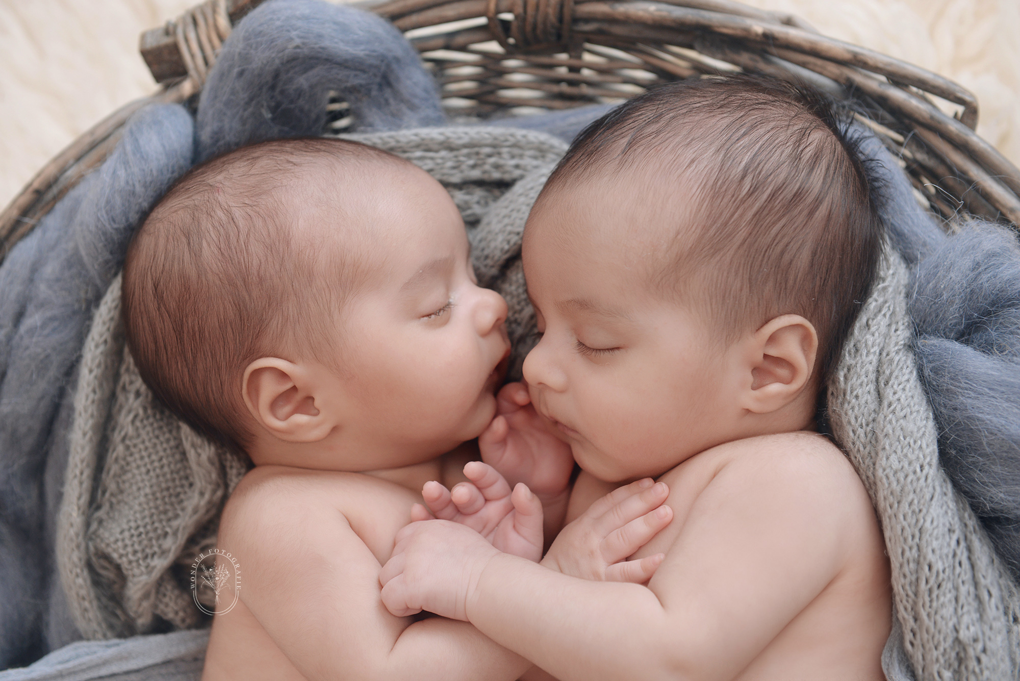 newborn fotoshoot tweeling babyshoot twins photoshoot Friesland Flevoland