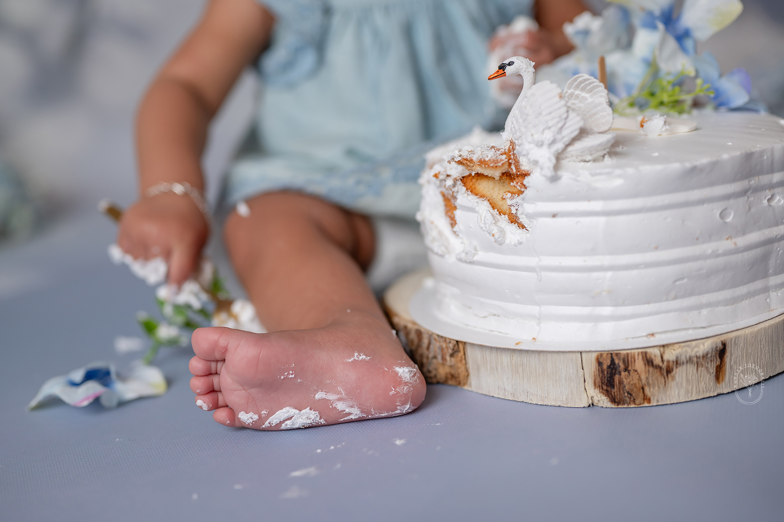 cake smash fotoshoot friesland babyshoot flevoland overijssel studio taart